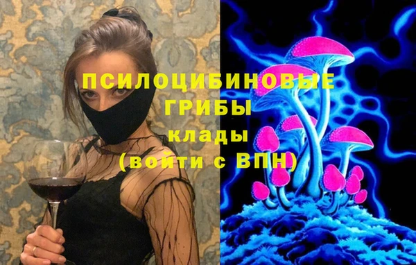 соль ск Алексин