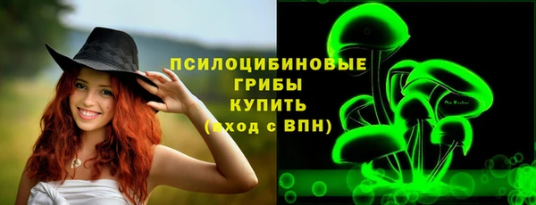 соль ск Алексин