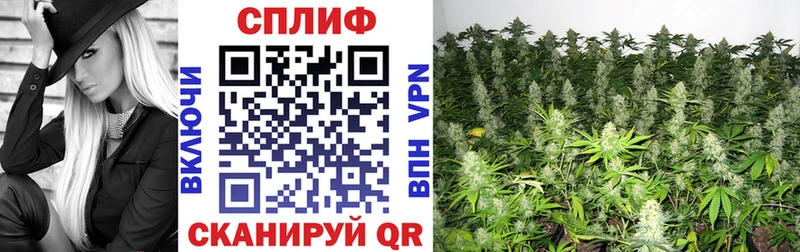 Бошки Шишки LSD WEED Невьянск